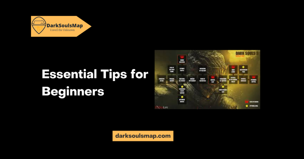 Essential Tips for Beginners